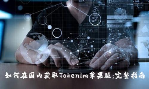如何在国内获取Tokenim苹果版：完整指南
