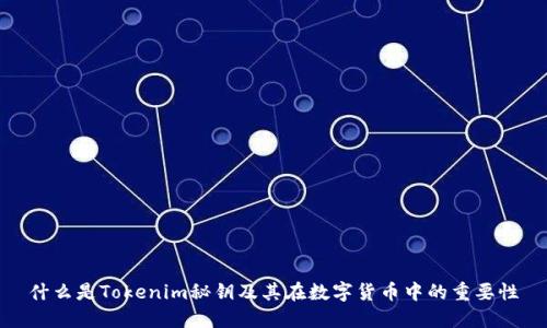 什么是Tokenim秘钥及其在数字货币中的重要性