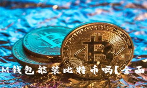 : TokenTokenIM钱包能装比特币吗？全面解析与使用指导