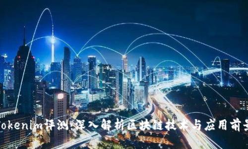 Tokenim评测：深入解析区块链技术与应用前景