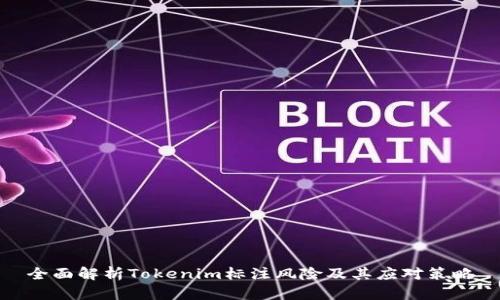 全面解析Tokenim标注风险及其应对策略