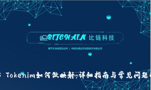 EOS Tokenim如何做映射：详细指南与常见问题解答