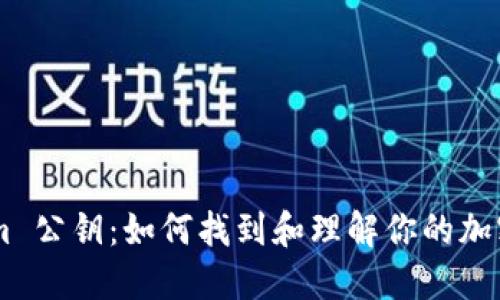 ## Tokenim 公钥：如何找到和理解你的加密资产安全性