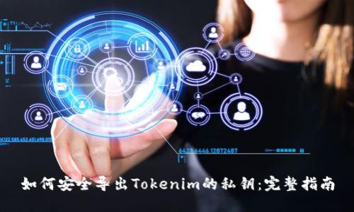 如何安全导出Tokenim的私钥：完整指南