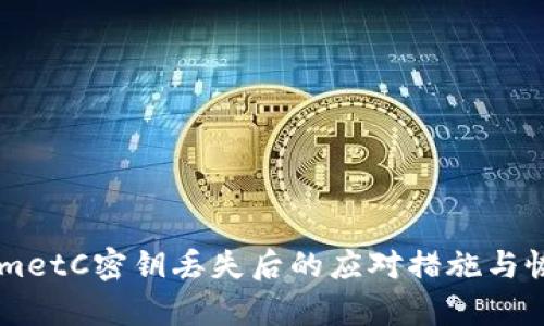 TokenImetC密钥丢失后的应对措施与恢复指南