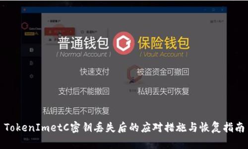 TokenImetC密钥丢失后的应对措施与恢复指南