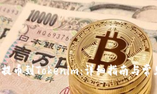 如何将FIL提币到Tokenim：详细指南与常见问题解答