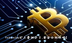 Tokenim矿工费调少了，资金会到账吗？