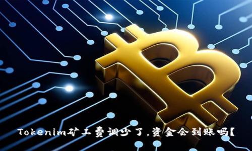 Tokenim矿工费调少了，资金会到账吗？