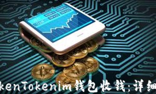 
如何通过TokenTokenim钱包收钱：详细指南与步骤