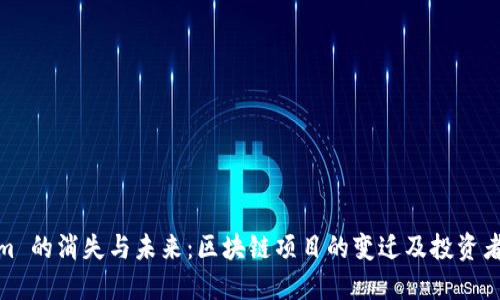 Tokenim 的消失与未来：区块链项目的变迁及投资者的应对