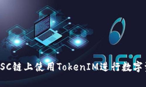 如何在BSC链上使用TokenIM进行数字资产管理