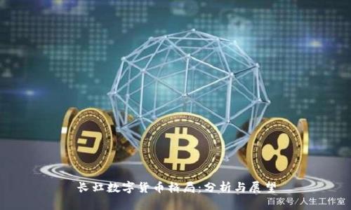 长虹数字货币格局：分析与展望