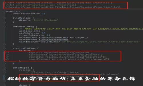 探秘数字货币北明：未来金融的革命先锋