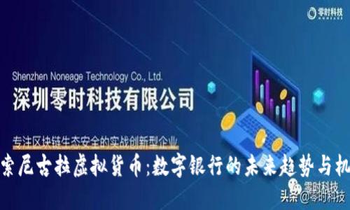 探索尼古拉虚拟货币：数字银行的未来趋势与机遇