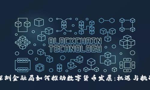 深圳金融局如何推动数字货币发展：机遇与挑战