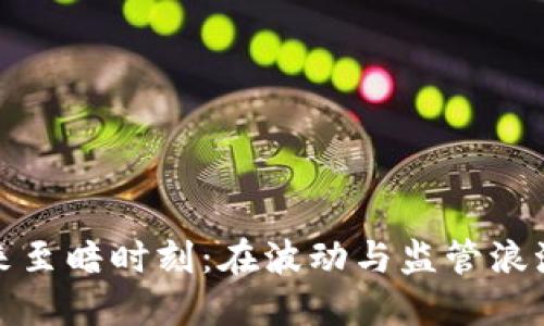 数字货币迎来至暗时刻：在波动与监管浪潮中寻找生机
