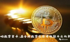 美啦数字货币：在全球数字经济中脱颖而出的新