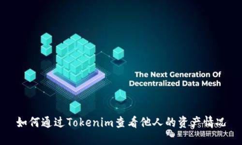 如何通过Tokenim查看他人的资产情况