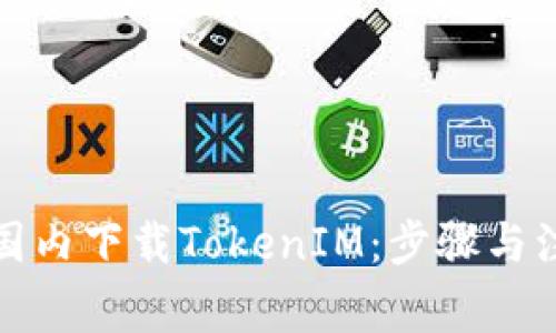 如何在国内下载TokenIM：步骤与注意事项