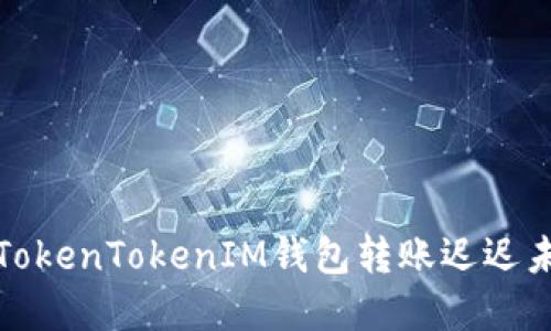 如何解决TokenTokenIM钱包转账迟迟未到的问题