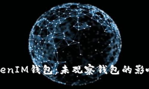 深入探讨TokenIM钱包：未观察钱包的影响与解决方案