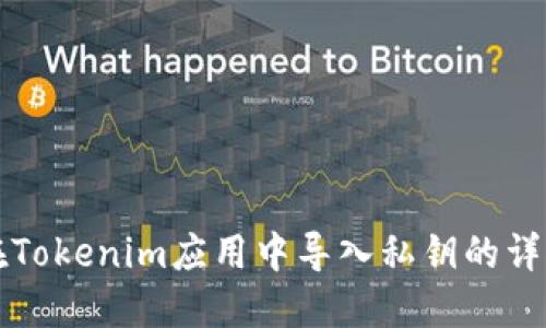 如何在Tokenim应用中导入私钥的详细指南