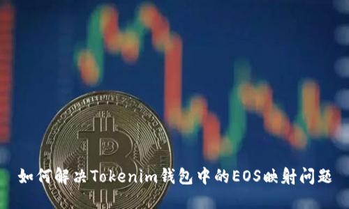 如何解决Tokenim钱包中的EOS映射问题
