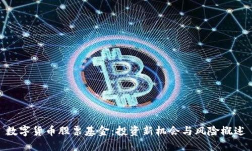 数字货币股票基金：投资新机会与风险概述
