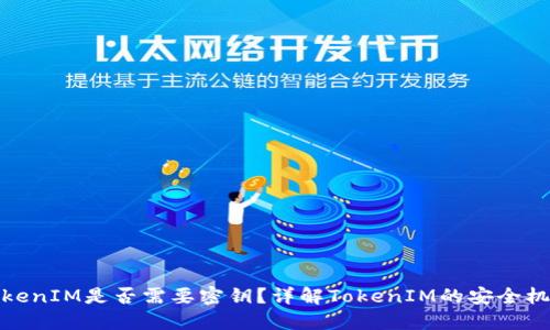 TokenIM是否需要密钥？详解TokenIM的安全机制