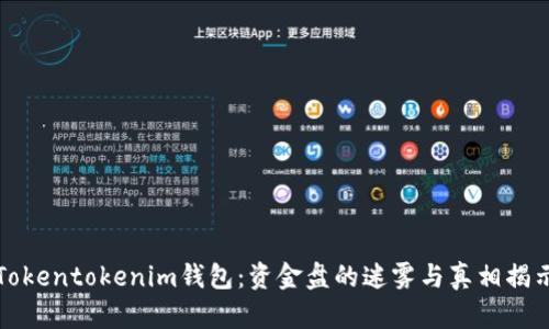 Tokentokenim钱包：资金盘的迷雾与真相揭示