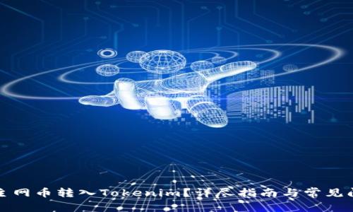 如何将主网币转入Tokenim？详尽指南与常见问题解答