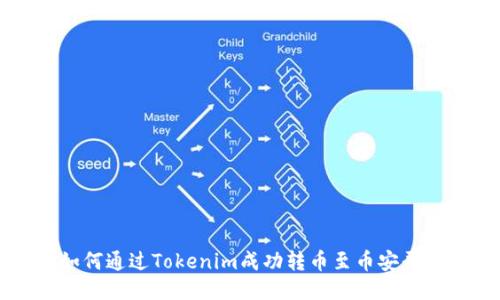 如何通过Tokenim成功转币至币安平台